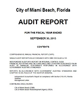 Audit Report 2016