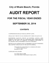 Audit Report 2015