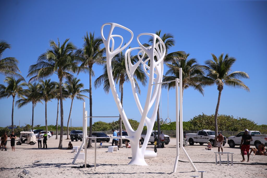 Lummus Park Leopard Tree