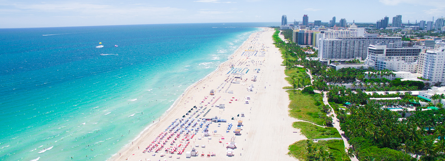 The Shores of Miami 