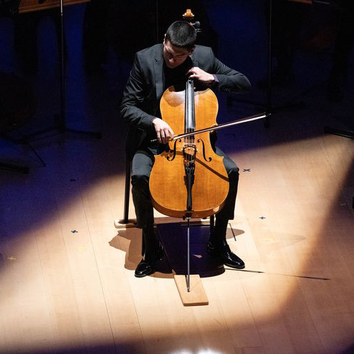 Man Playing the Cello