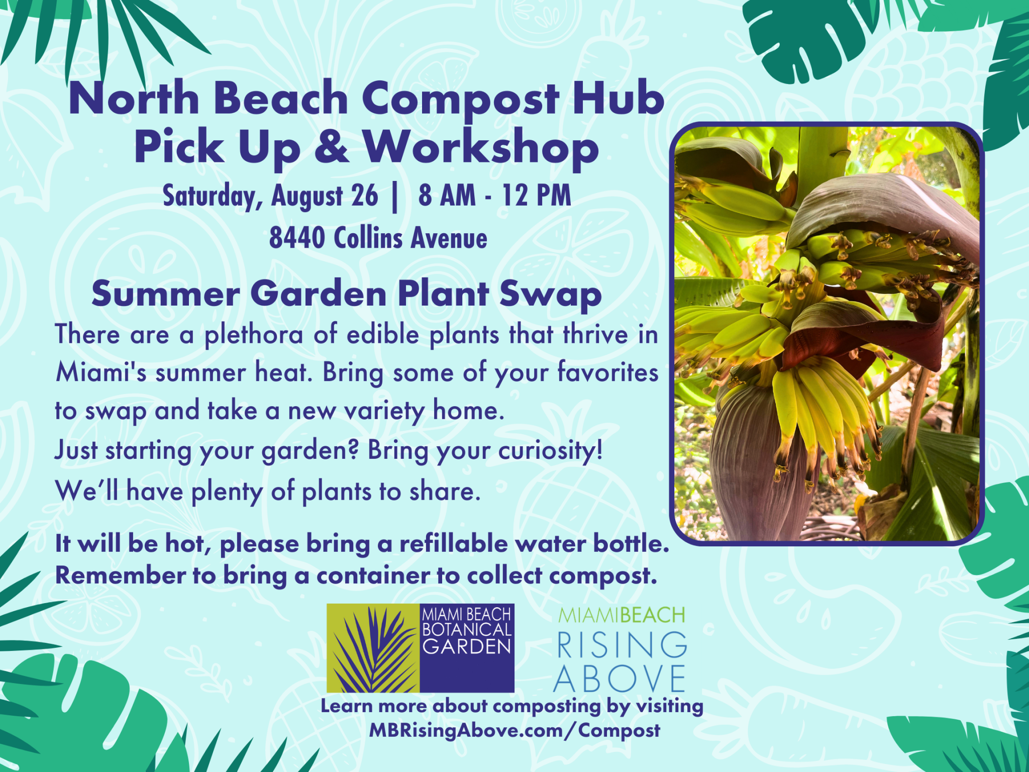 North Beach Compost Hub Pick Up & Summer Garden Plant Swap
