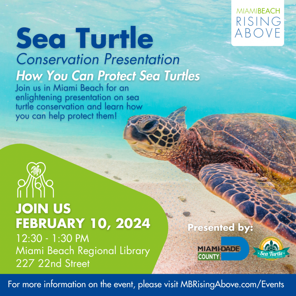 Sea Turtle Conservation Presentation City of Miami Beach