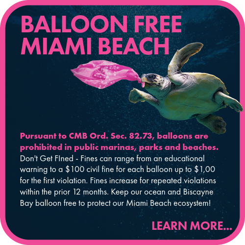 Ballon Free Miami Beach
