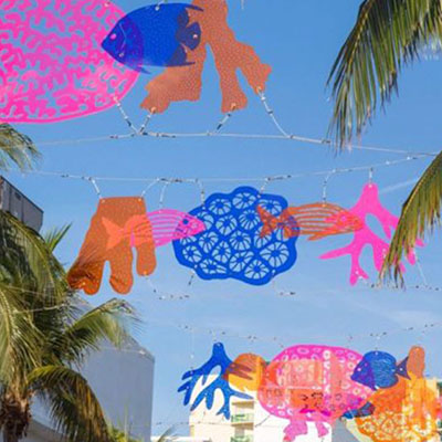 Beatriz Chachamovits Heliotropic Seekers