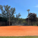 flamingo baseball field