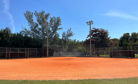 flamingo baseball field