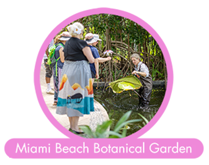 Miami Beach Botanical Garden