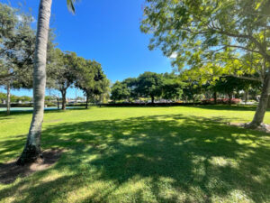 open space at palm island park