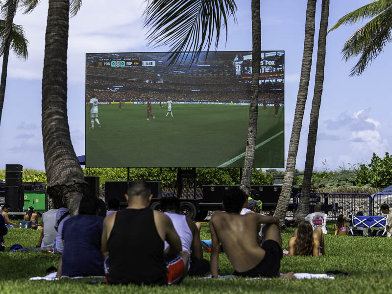 backs of fans sitting on grass watching game on screen