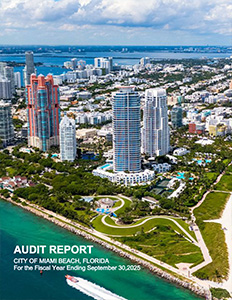 AuditReport_thumb
