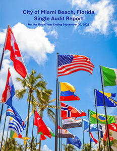 SingleAudit_thumb