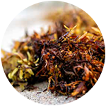 sargassum