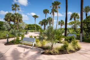 ocean terrace park