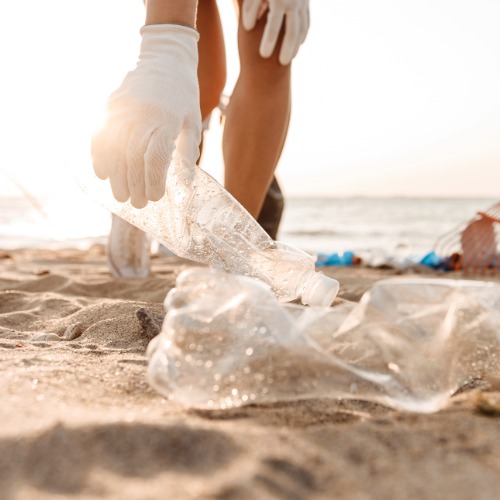 beach cleanup