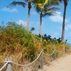 Dunes on Pathway to Miami Beach