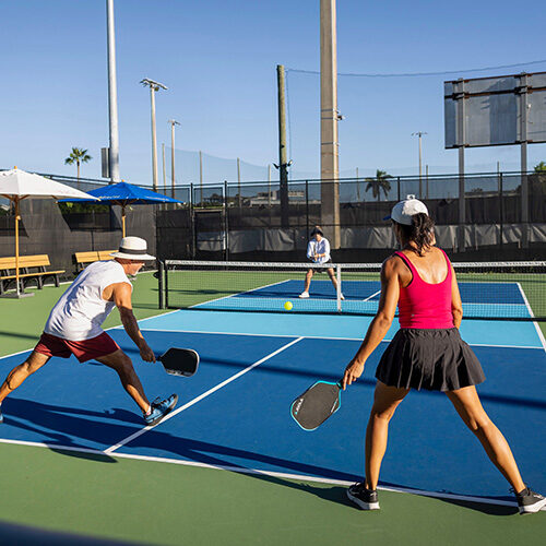 people playing pickle ball